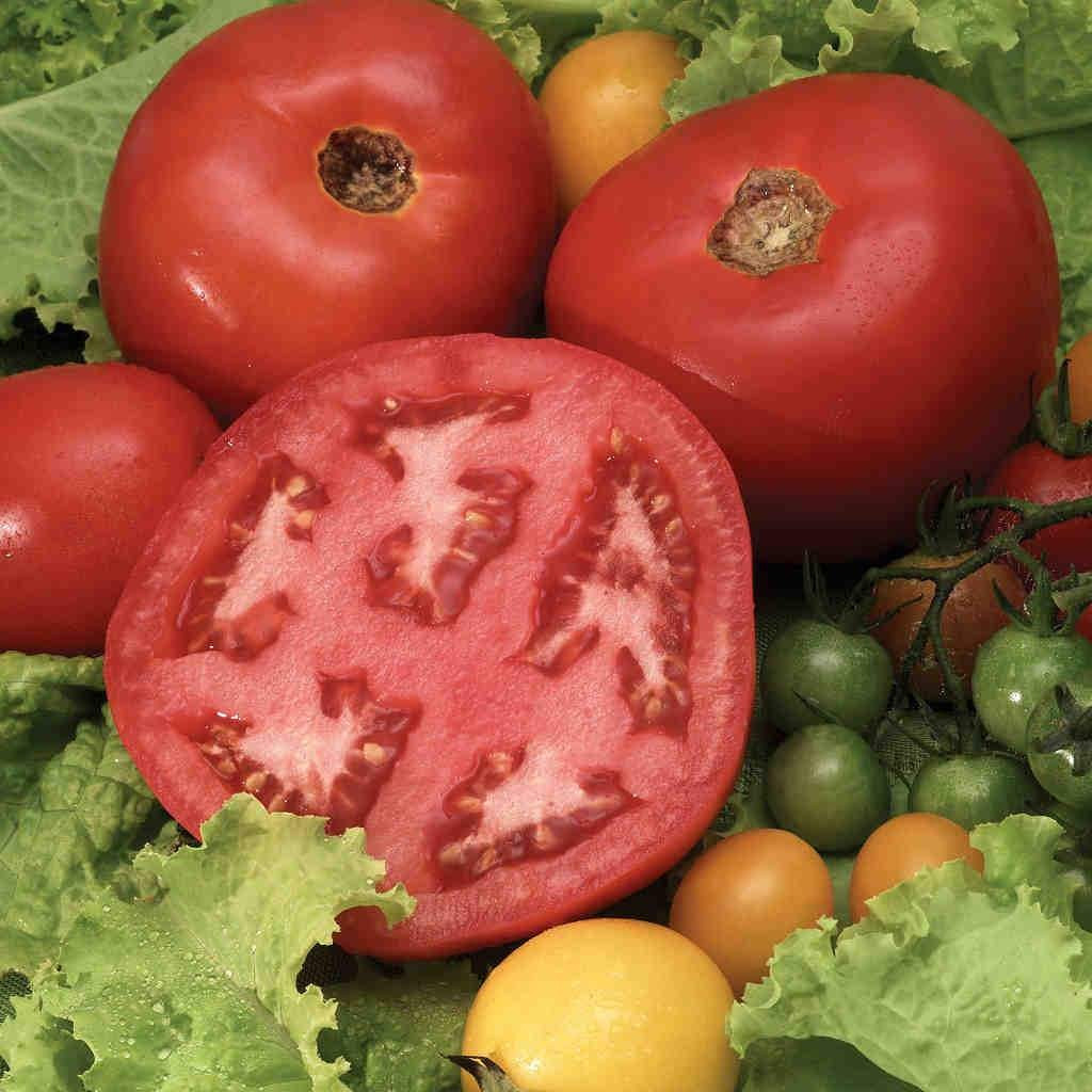 120+ STEAK TOMATO SEEDS — BEEFSTEAK —————- HEIRLOOM – ORGANIC – TASTY