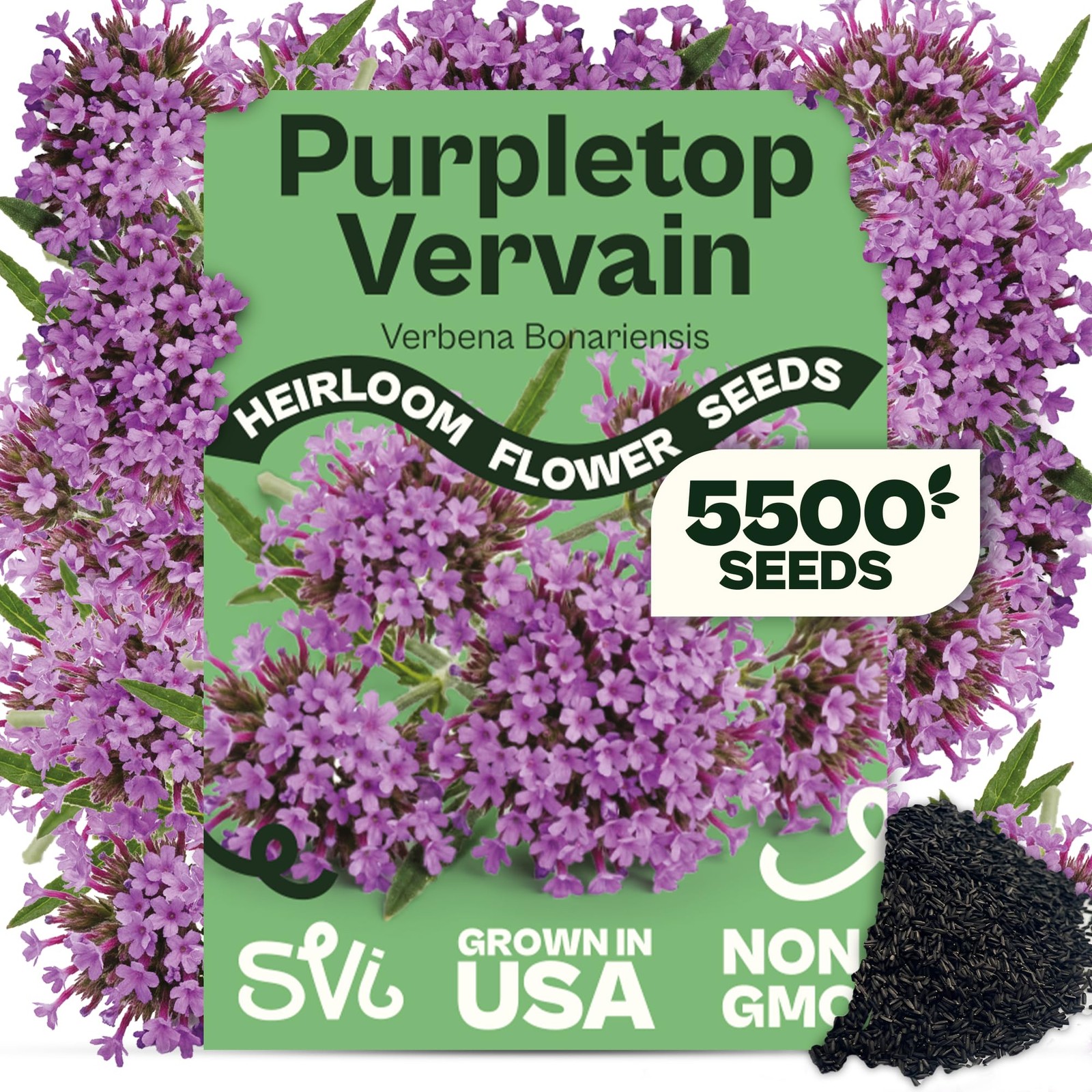 5500 Purpletop Vervain Seeds (Verbena Bonariensis) – Tall Verbena, Purple Blo…
