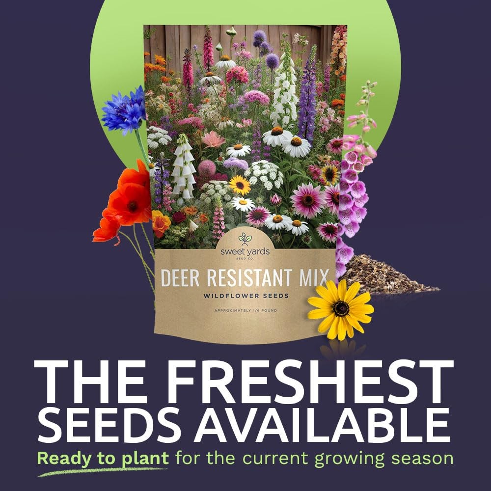 Deer Resistant Wildflower Seed Mixture – Bulk 1/4 Pound Bag – Over 60,000 Dee…