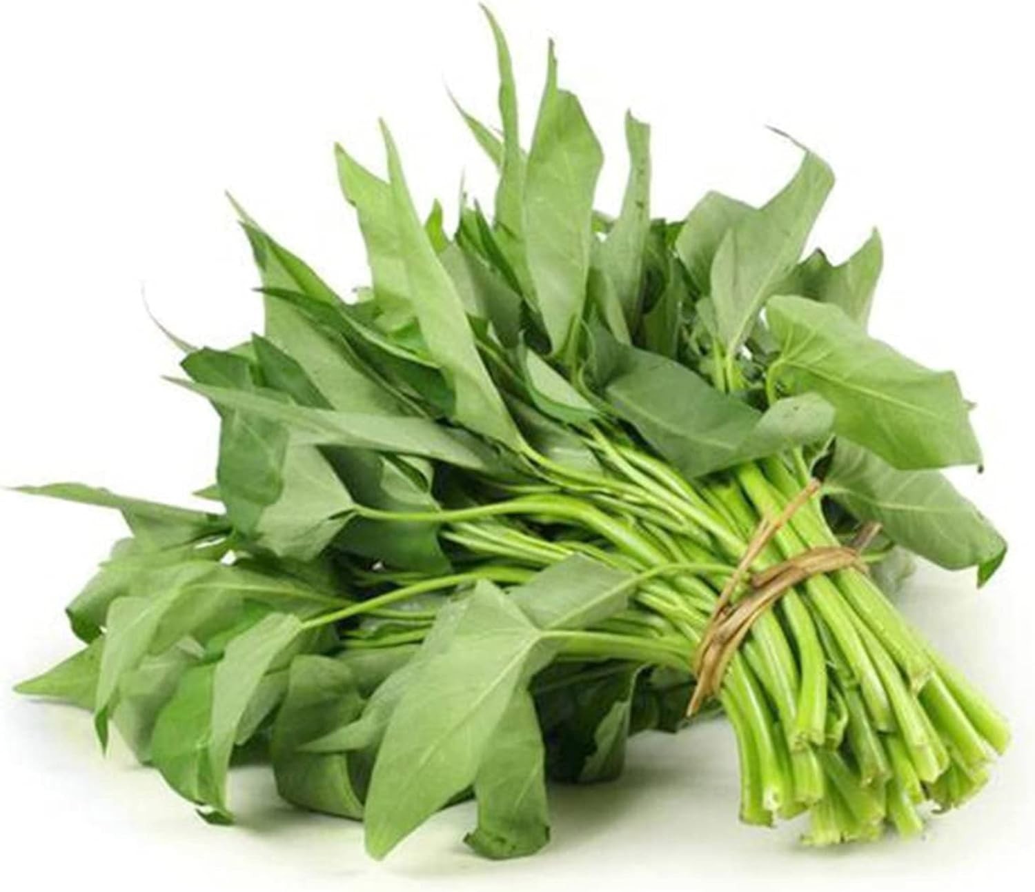 1000+ Kong Xin CAI Seeds for Yard & Garden – Non-GMO Rau Muong Green Leaf Veg…