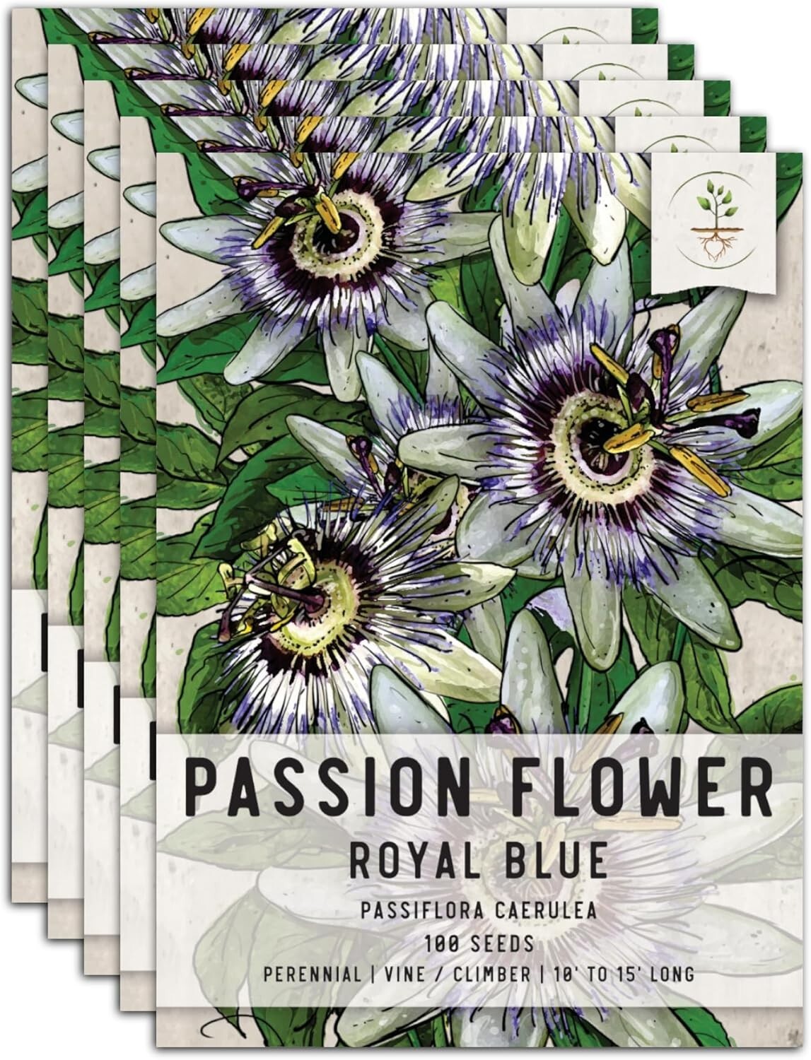 5 Packs of Royal Blue Passion Flower Seeds – Hardy Vines for Ornamental Climbing