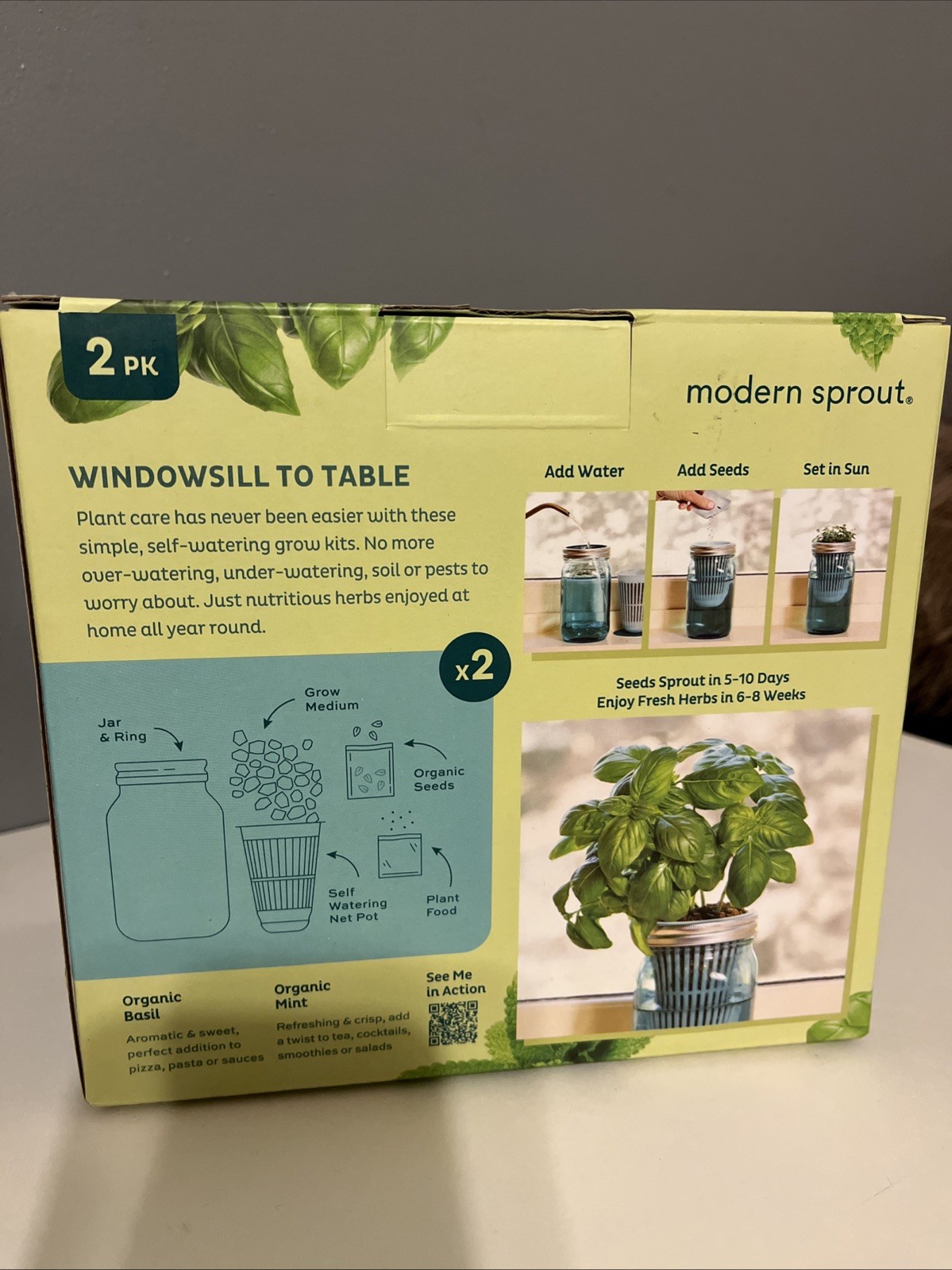 Modern Sprout Organic Herb Glass Jar Grow Kits, 2 Pack, Basil & Mint