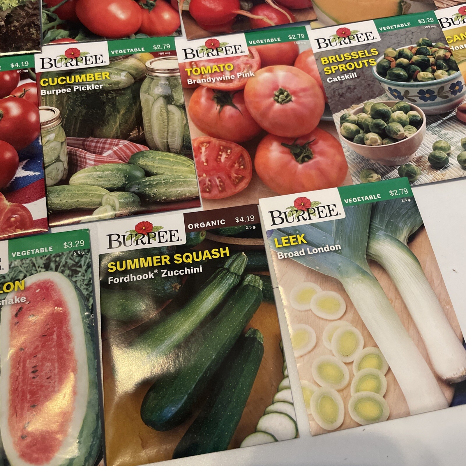 Garden Seeds Lot of 22 Packs of Burpee Vegetable & Herbs Dated 2021