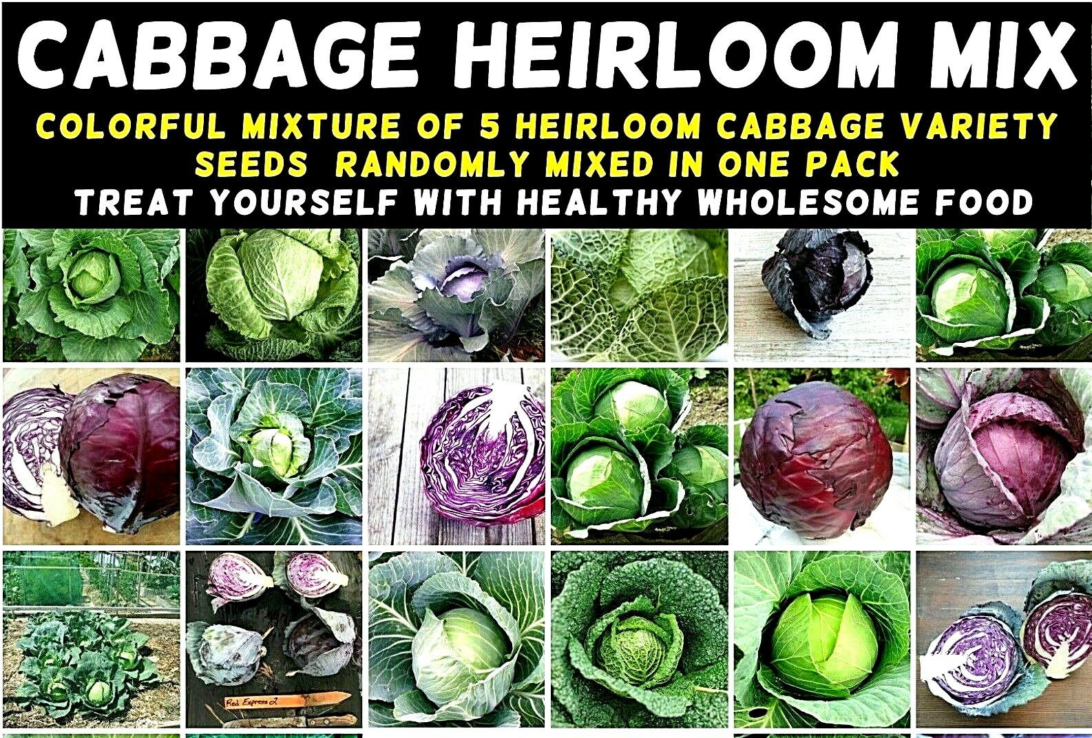 CABBAGE Heirloom Mix 100 NON-GMO garden SEEDS ALL TYPES MIXED super winter veggi