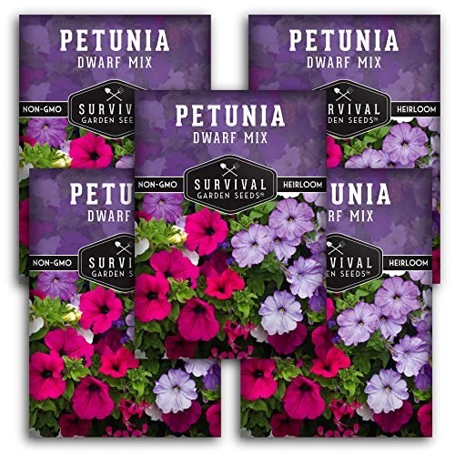 Dwarf Petunia Seed Mix – Non-GMO Heirloom Flower Seeds for Vibrant Garden & Poll