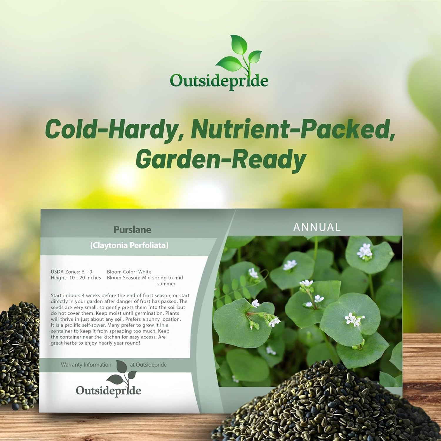 5000 Seeds Annual Claytonia Perfoliata Winter Purslane Herb Garden Seeds for