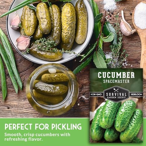 Spacemaster Cucumber Seeds for Planting | Compact Heirloom Non-GMO Variety 1