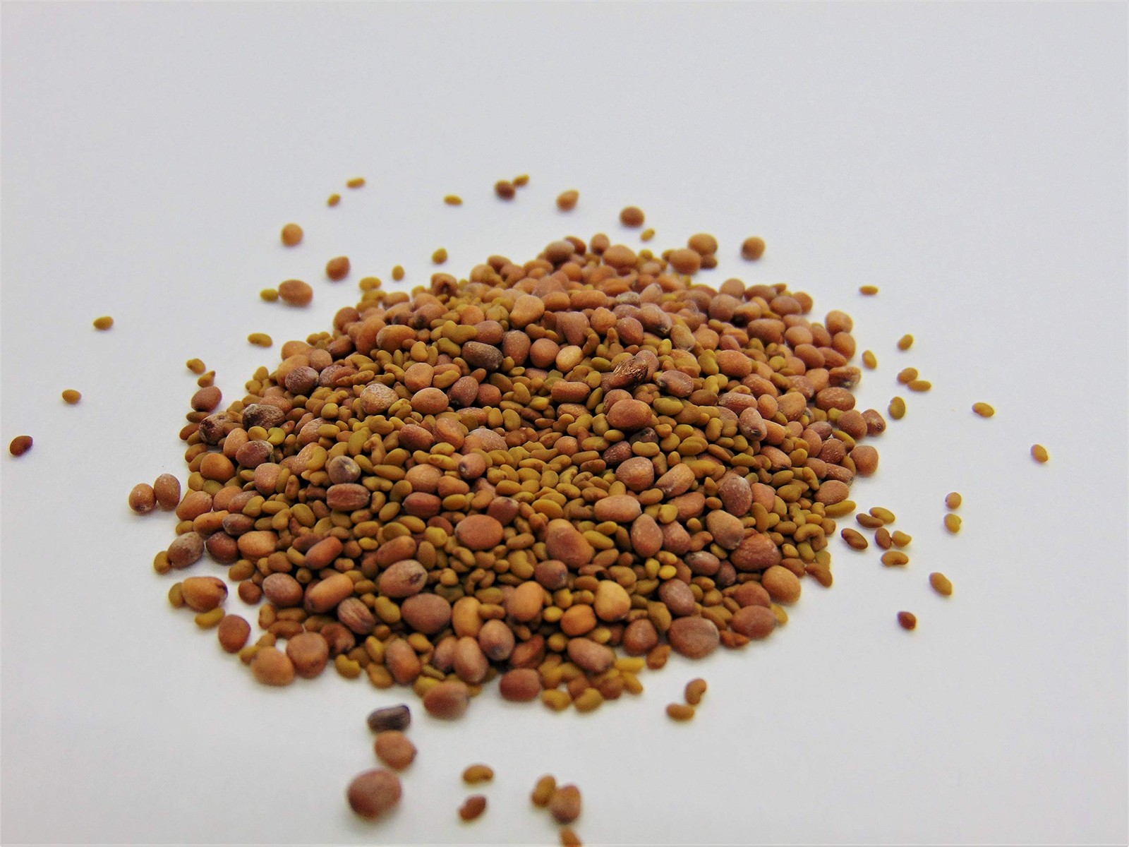 8 oz Microgreen Sprouting Mix – Non-GMO Radish & Alfalfa Seeds by Country Creek