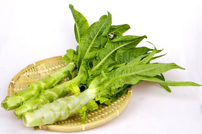 Free Shipping 2020 New Stem lettuce Seeds