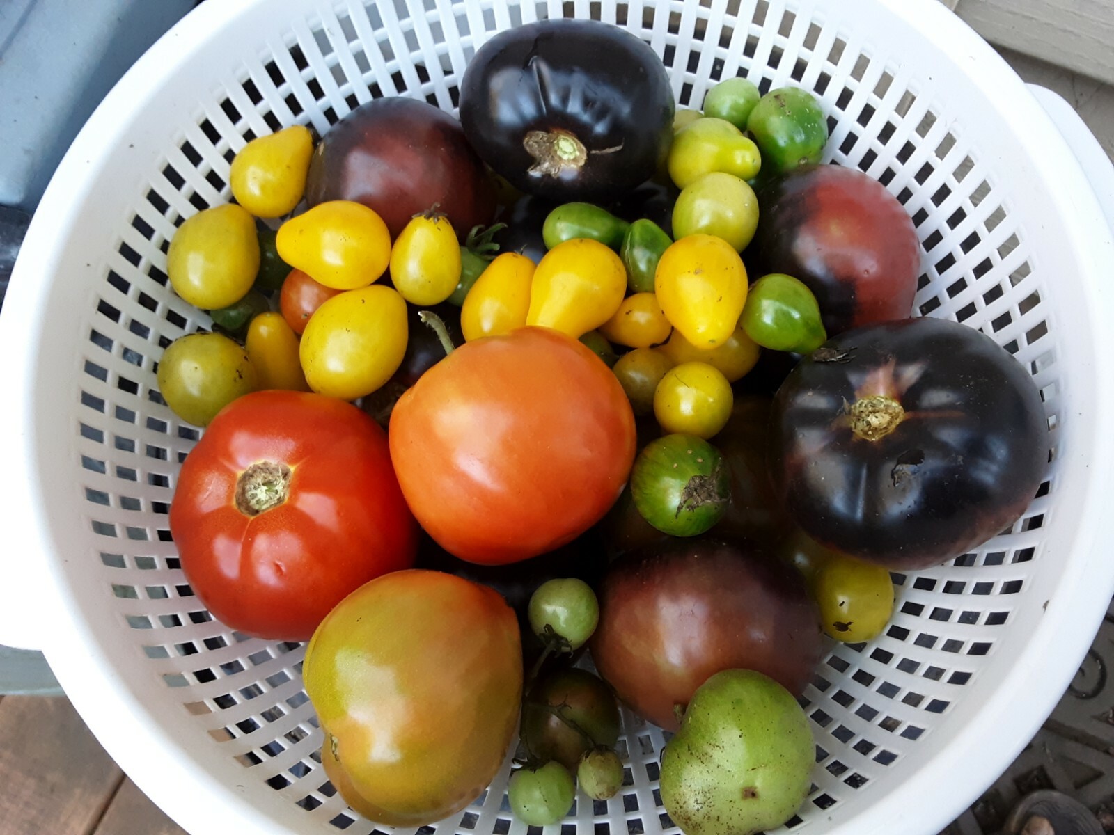 50 Rare Black Large Tomato Seeds.US grown seeds.