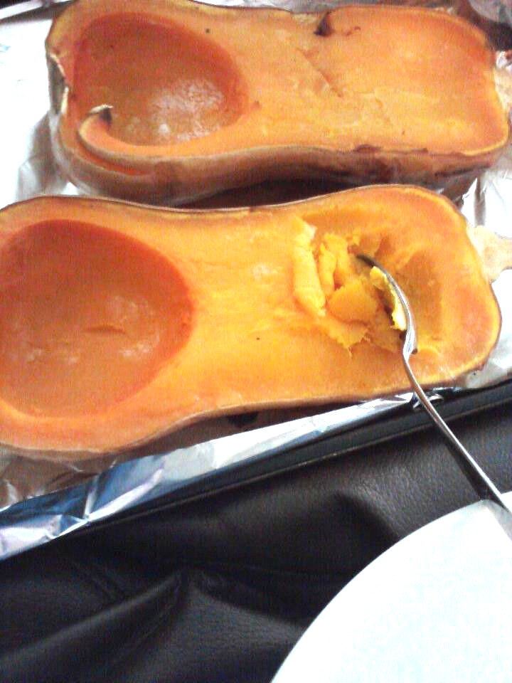 24 SEEDS – squash BUTTERNUT – GroCo USA – BUY ANY 15 ITEMS-ORDER SHIPS FREE