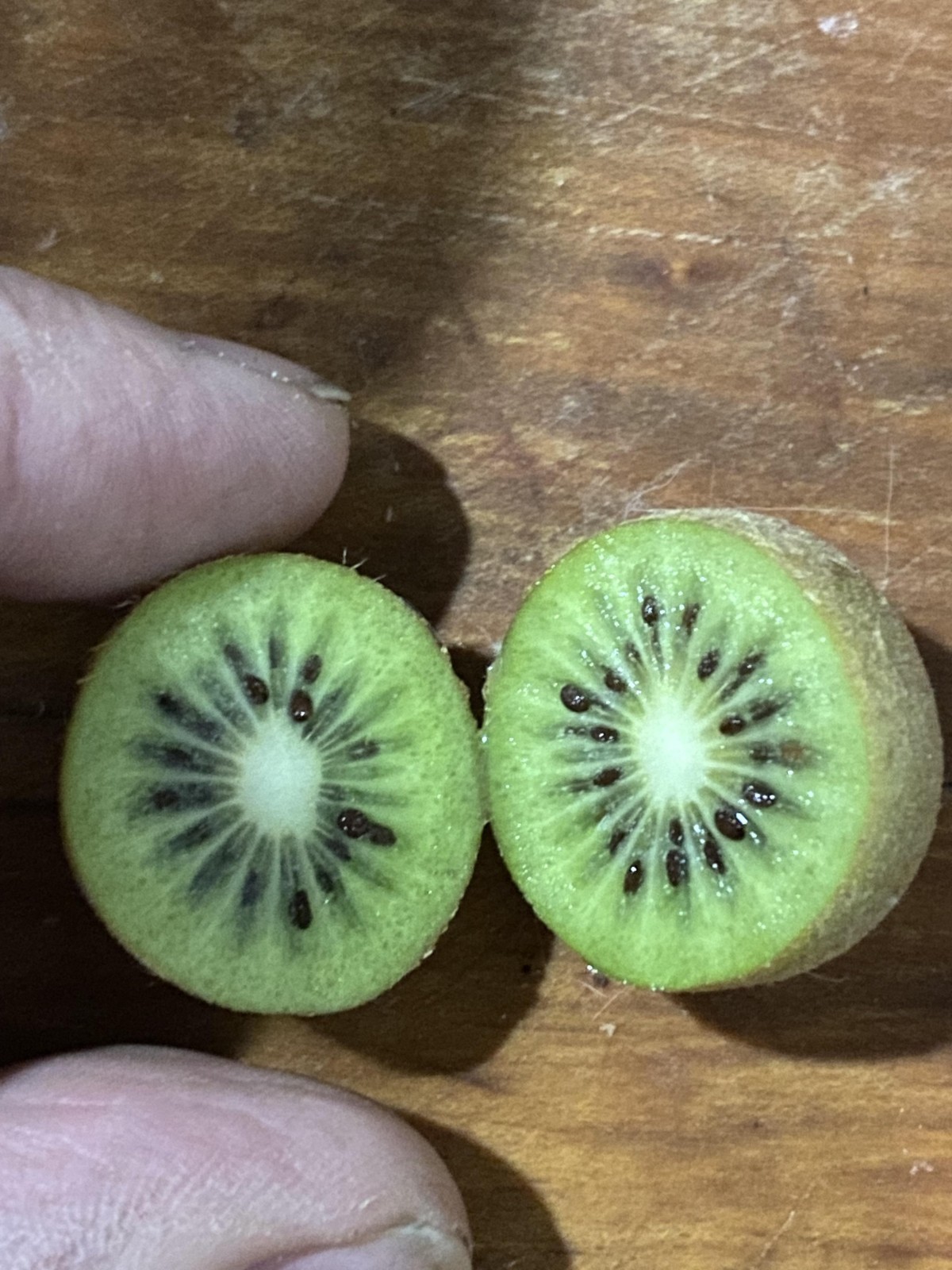 Kiwi Berry Seeds (50) / Tropical Fruit / Sweet / Super Rare