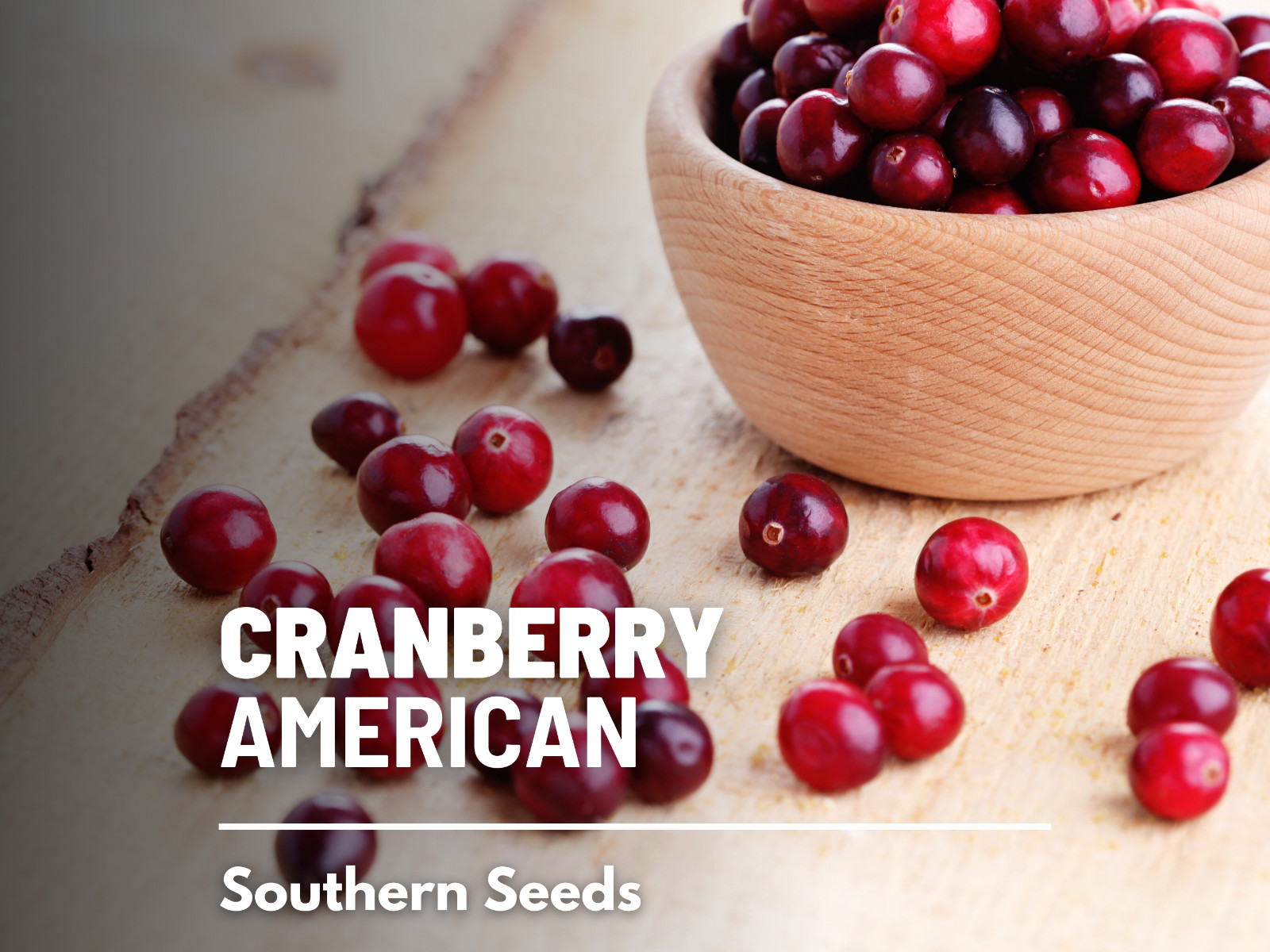 Cranberry, American – Heirloom Seeds – Non GMO (Vaccinium macrocarpon)
