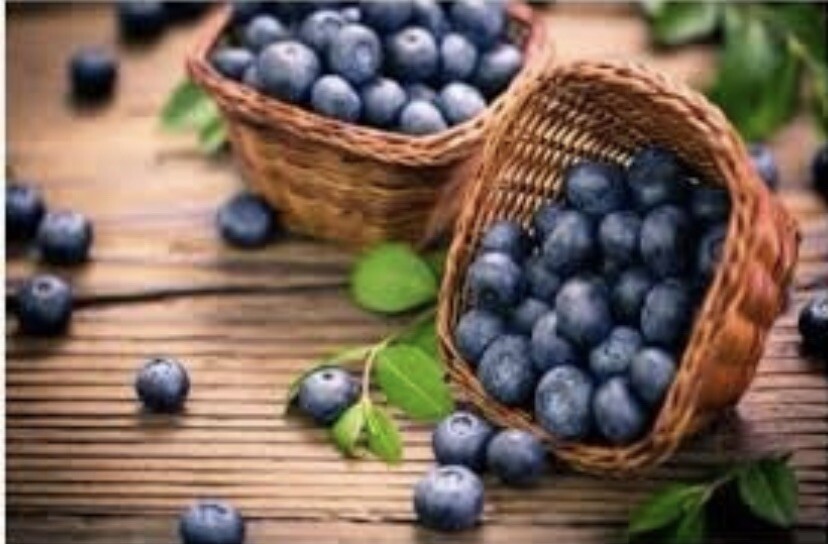Blueberry – 100 Seeds 2023