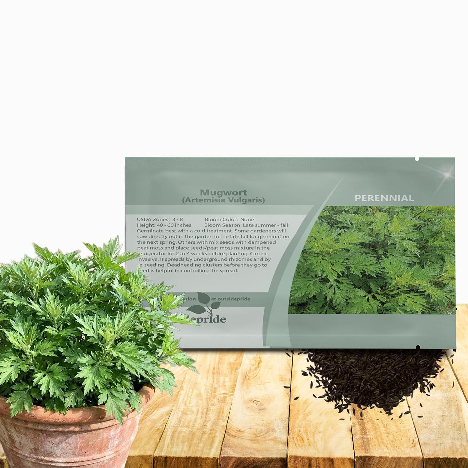 Mugwort Seeds – 5000 Pcs, Perennial Herb for Culinary Use and Pollinator Gardens