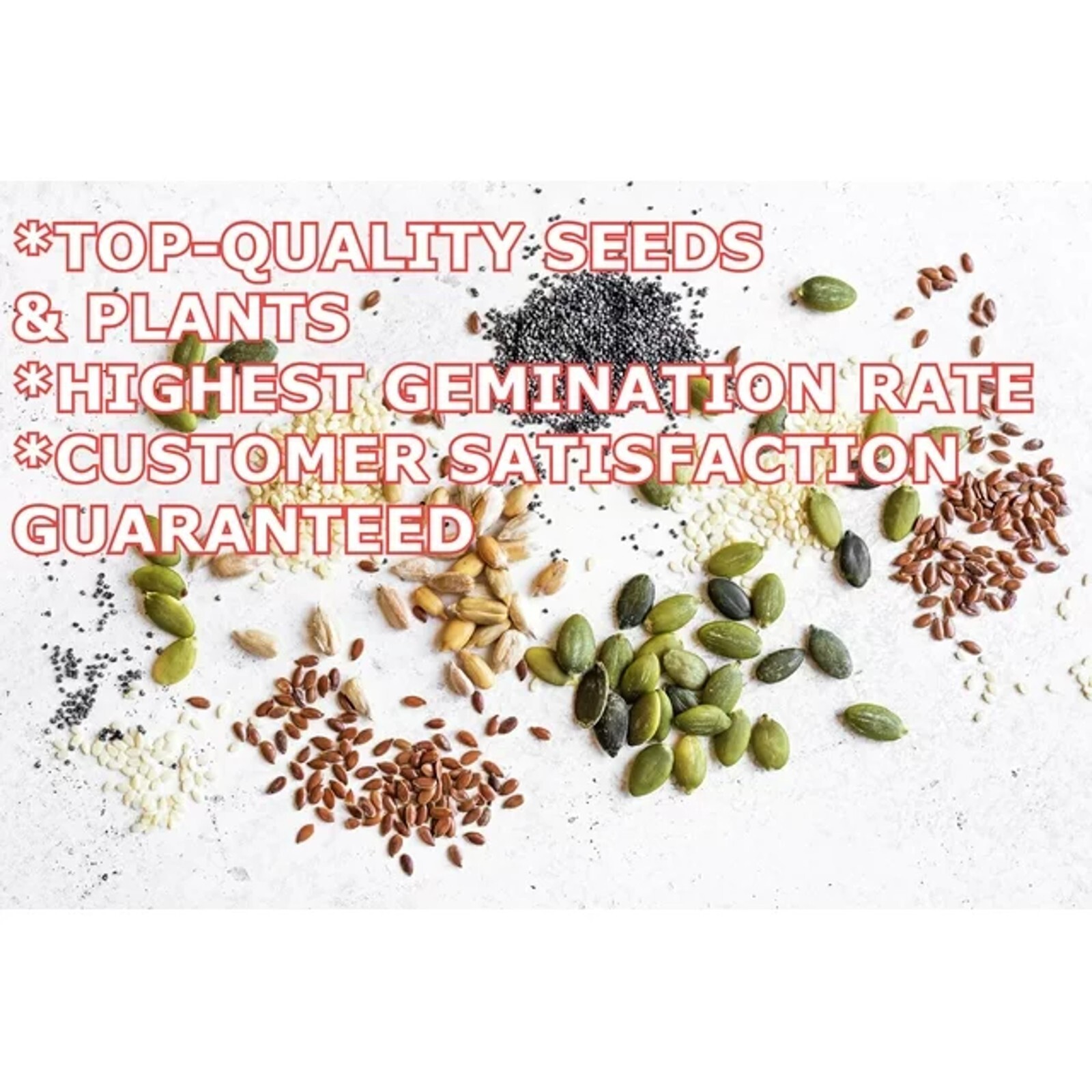 Red Pontiac Seed Potatoes | USDA Certified For Planting 113gram Red Potato 2024