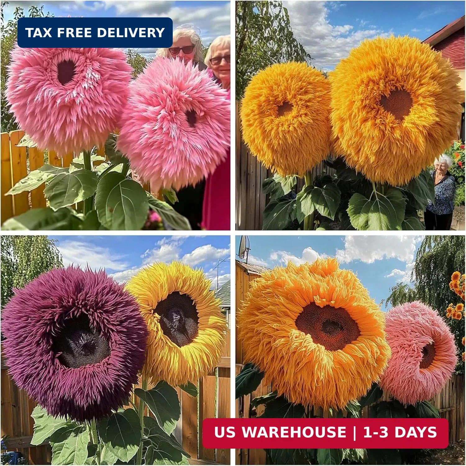 600+ Mixed Sunflower Seeds for Planting – Rare Giant Teddy Bear Sunflower Seeds
