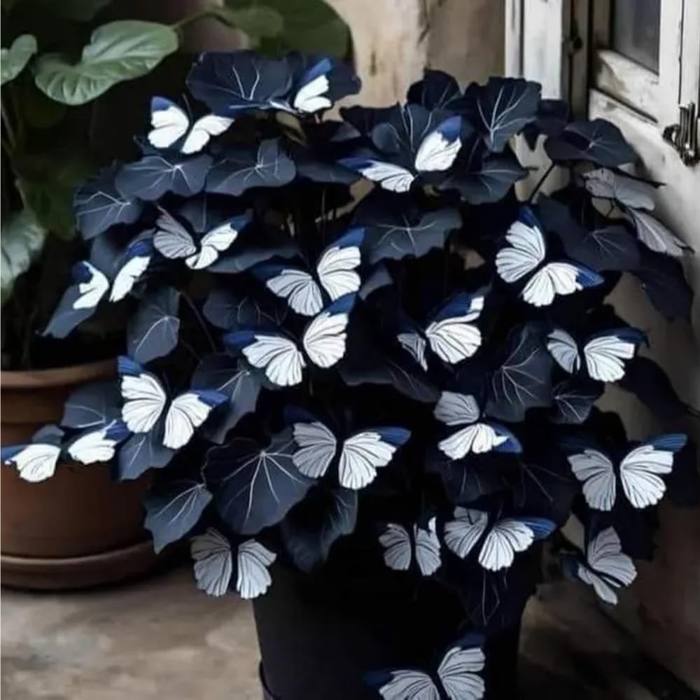 150+ Mixed Coleus Seeds for Planting – Non-Gmo Heirloom Rainbow Coleus Seeds Pai