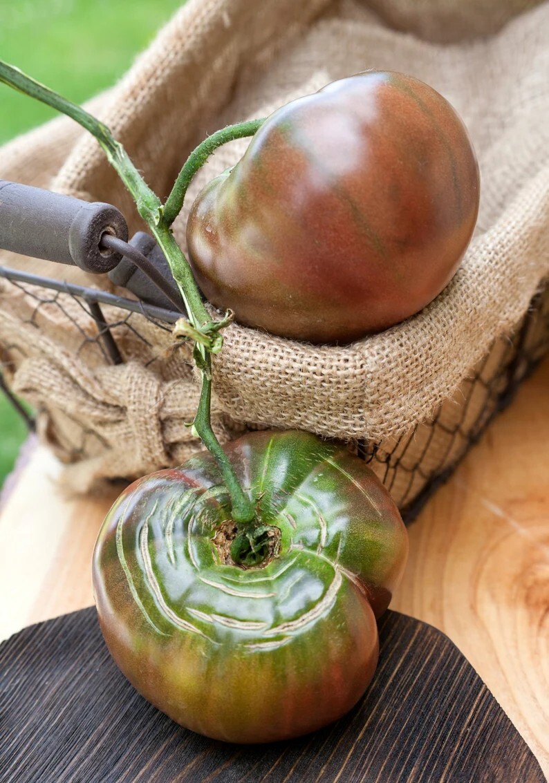 Black Krim Heirloom Tomato Premium Seed Packet + More