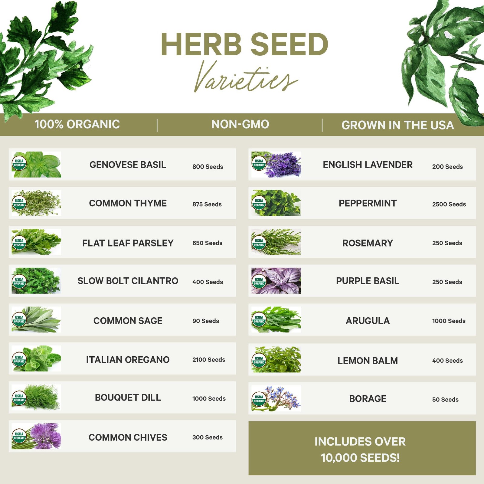 15 Certified Organic Herb Seeds Variety Pack (4X More) 10,000+ Non GMO Seeds …