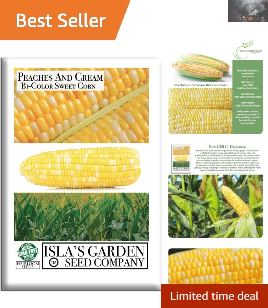 25+ Peaches and Cream Sweet Corn Seeds – Heirloom, Non-GMO for Garden Gifting