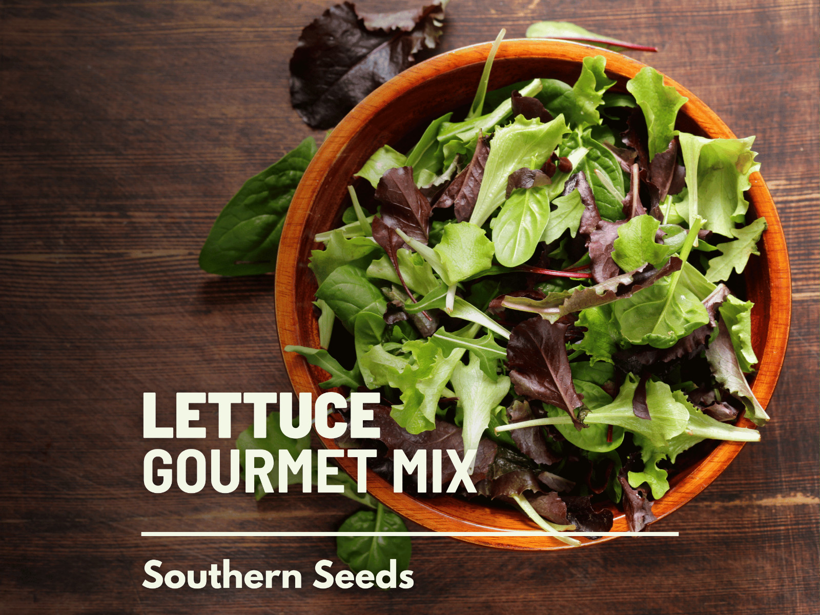 Lettuce, Gourmet Mixed Greens – 500 Heirloom Seeds – GMO Free – Easy to Grow