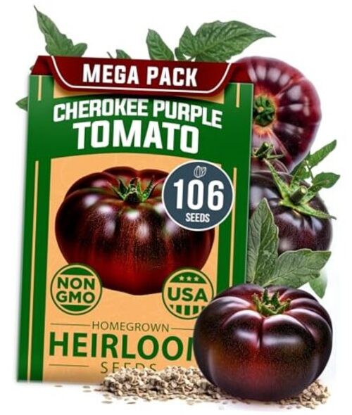 Cherokee Purple Tomato Seeds 106+ Heirloom Non GMO 1-Pack Cherokee Tomato