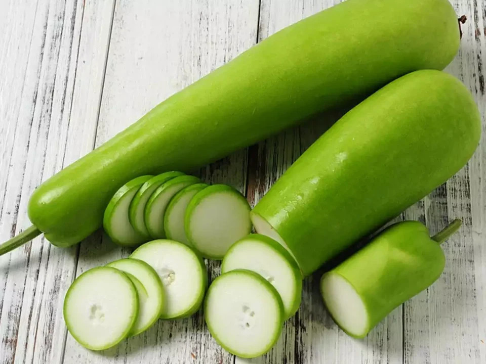 Calabash Bottle Gourd Seeds |Long Lauki Dudhi Opo Bitter Melon Asian Squash 2023