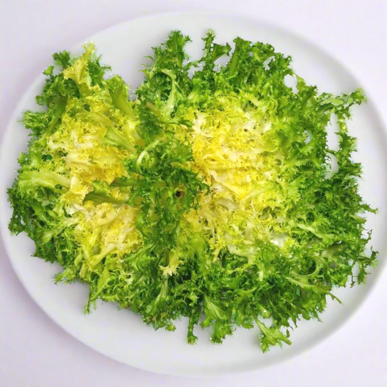 Frisee Endive Seeds | Curly Yellow Green French Chicory Seed 2025 Fast Shipping