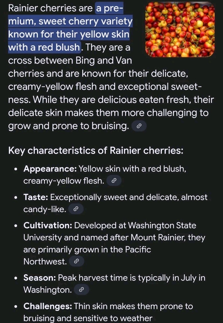 (50) Seeds of Yellow Rainier Cherry (Prunus Avium) Sweet Fruit Tree Seed Pits
