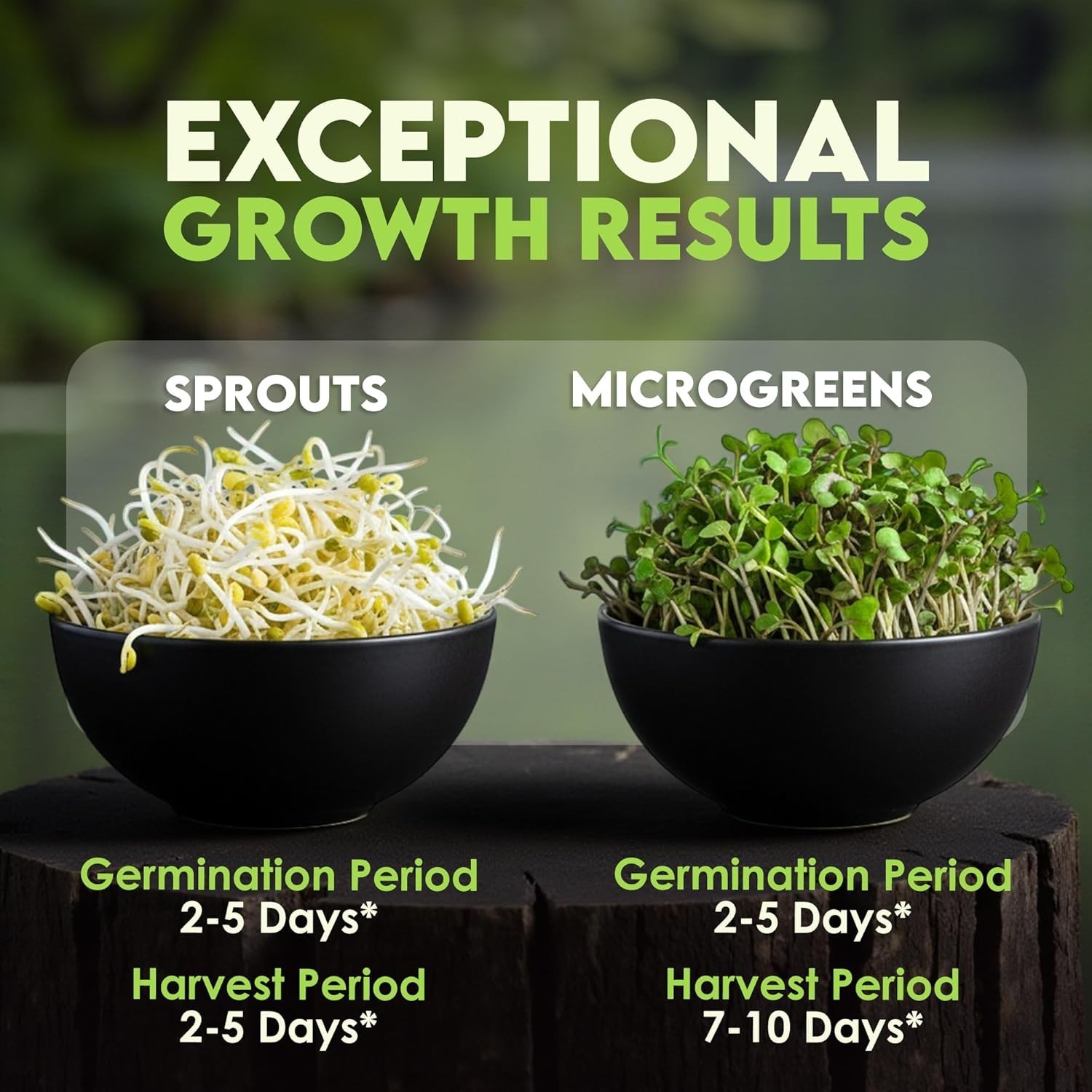 Nature Jim’s Sprouts Organic Salad Mix – Non-GMO Microgreen Seeds, Perfect fo…