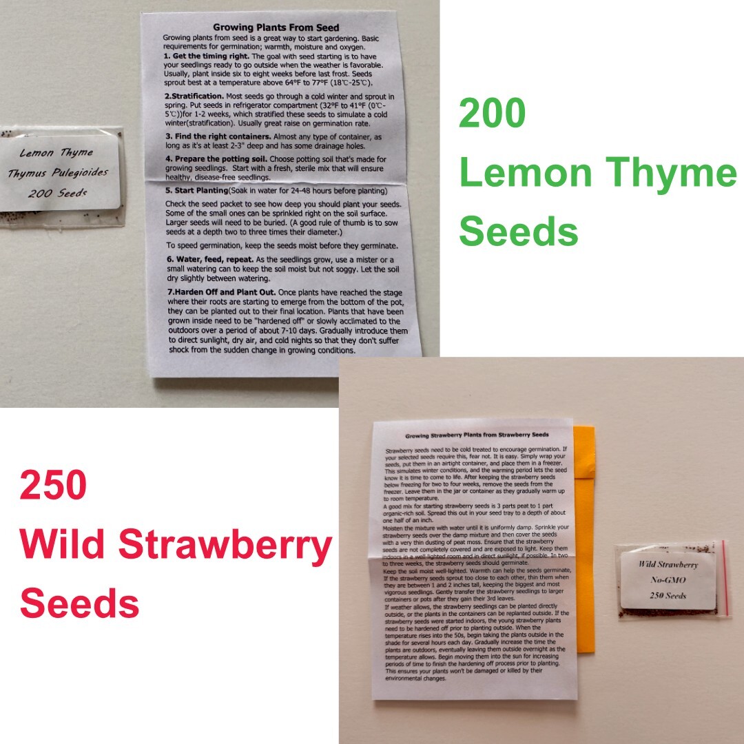200 Lemon Thyme Seeds + 250 Wild Strawberry Seeds