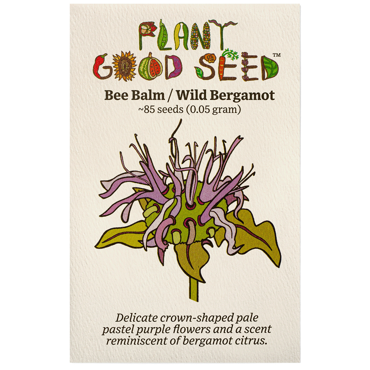 Bee Balm / Wild Bergamot Seeds