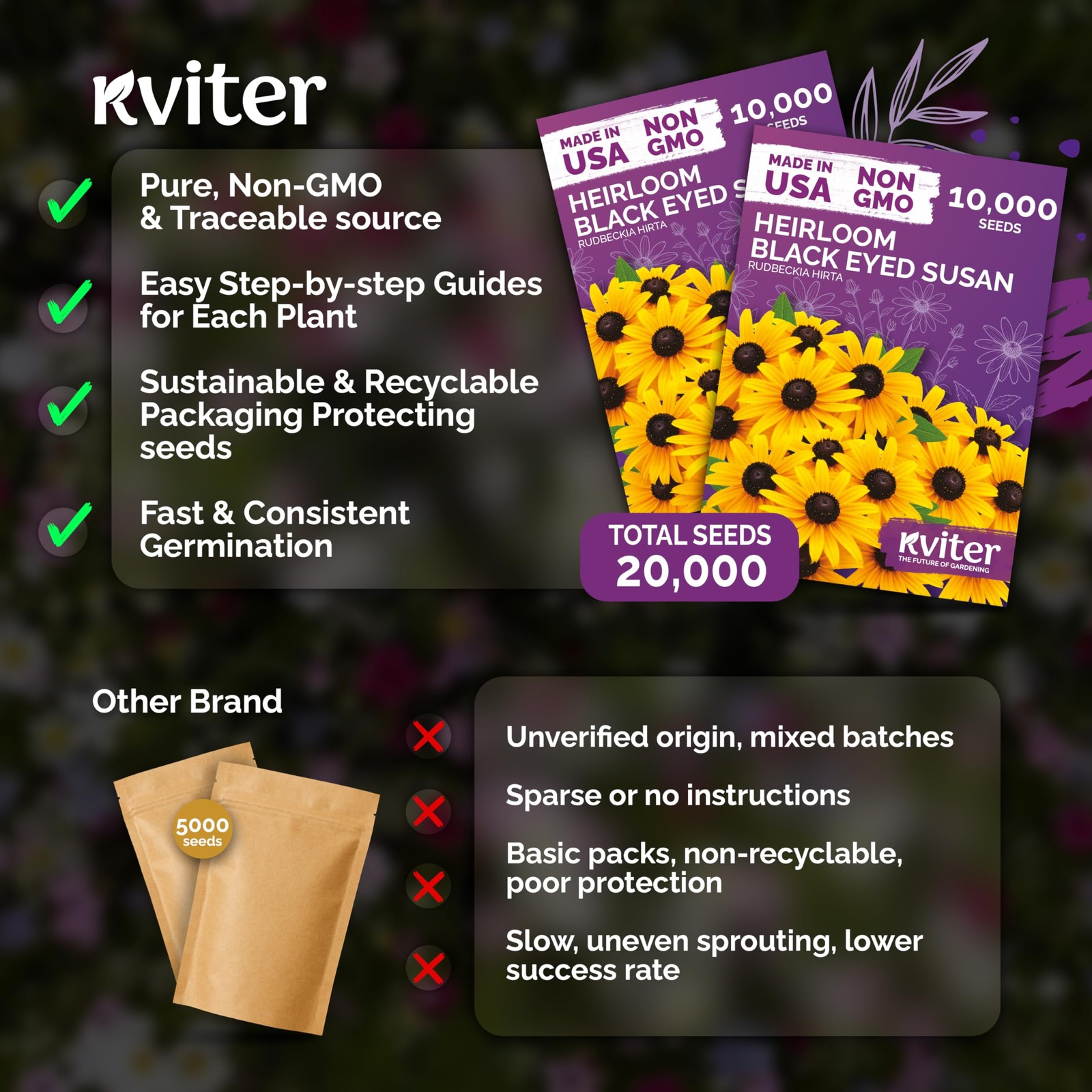 KVITER 20,000 Black Eyed Susan Seeds (Rudbeckia Hirta), 2 Pack