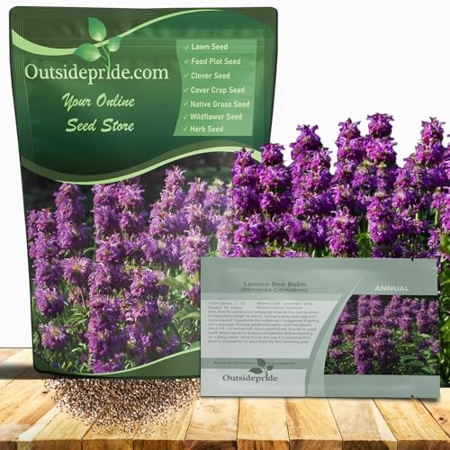 Lemon Bee Balm Seeds – 5000 Pcs Annual, Easy to Grow & Pollinator 5000 Seeds