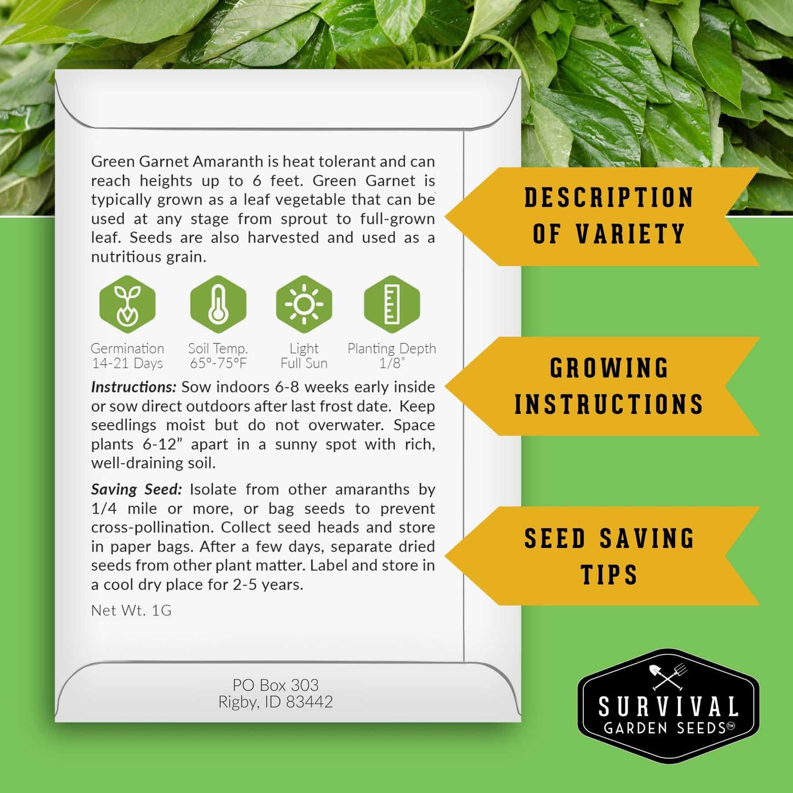 Green Amaranth Seeds for Planting Leafy Greens Callaloo Heat Tolerant Garden Cro