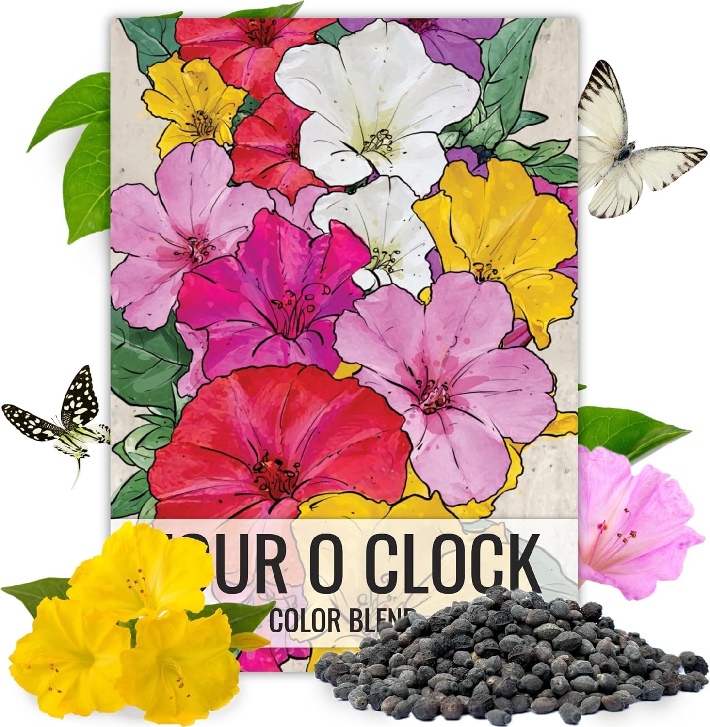 Four O’ Clock Seeds Mixed Colors Annual Multicolored Blooms 300+ Heirloom Seeds