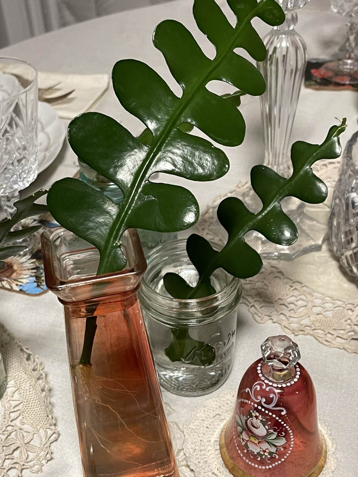 🌿Symbolic Endurance & Protection Rick Rack FISHBONE Plant Blooms YELLOW