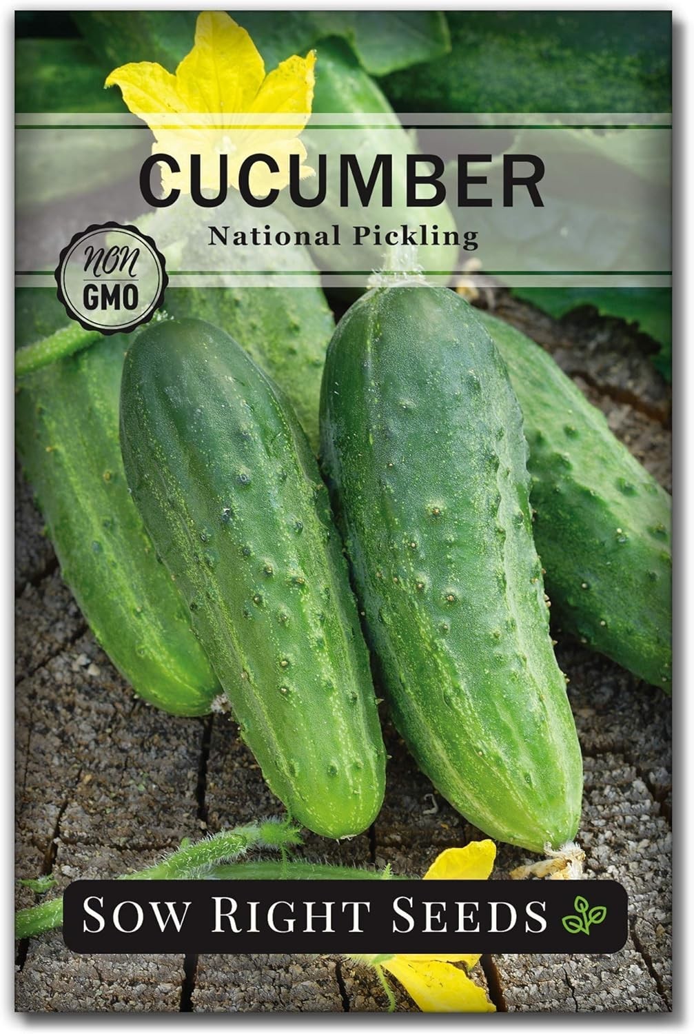 National Pickling Cucumber Seeds for Planting – Non-GMO Heirloom Packet with …