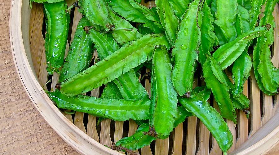 10-20 Winged Bean, Asparagus pea, Winged pea, Four Angled bean, Manila Dau Rong