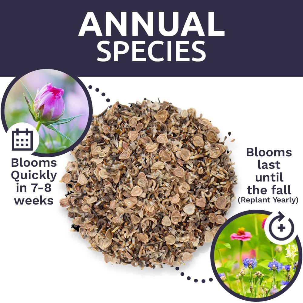 Bulk Wildflower Seeds Quick Blooming Mix 30,000 Open Pollinated Seeds