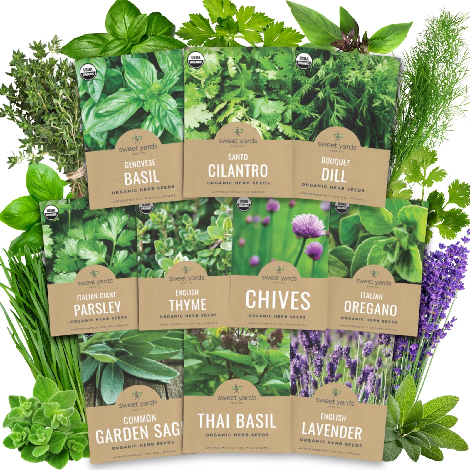 Organic Herb Seeds Variety Pack – 10 Individual Packs – 2026 Season – Basil, …
