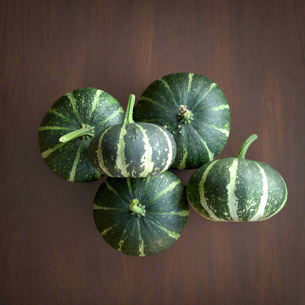 Flat Striped Ornamental Gourd Seeds – For 2025 Planting Miniature Autumn