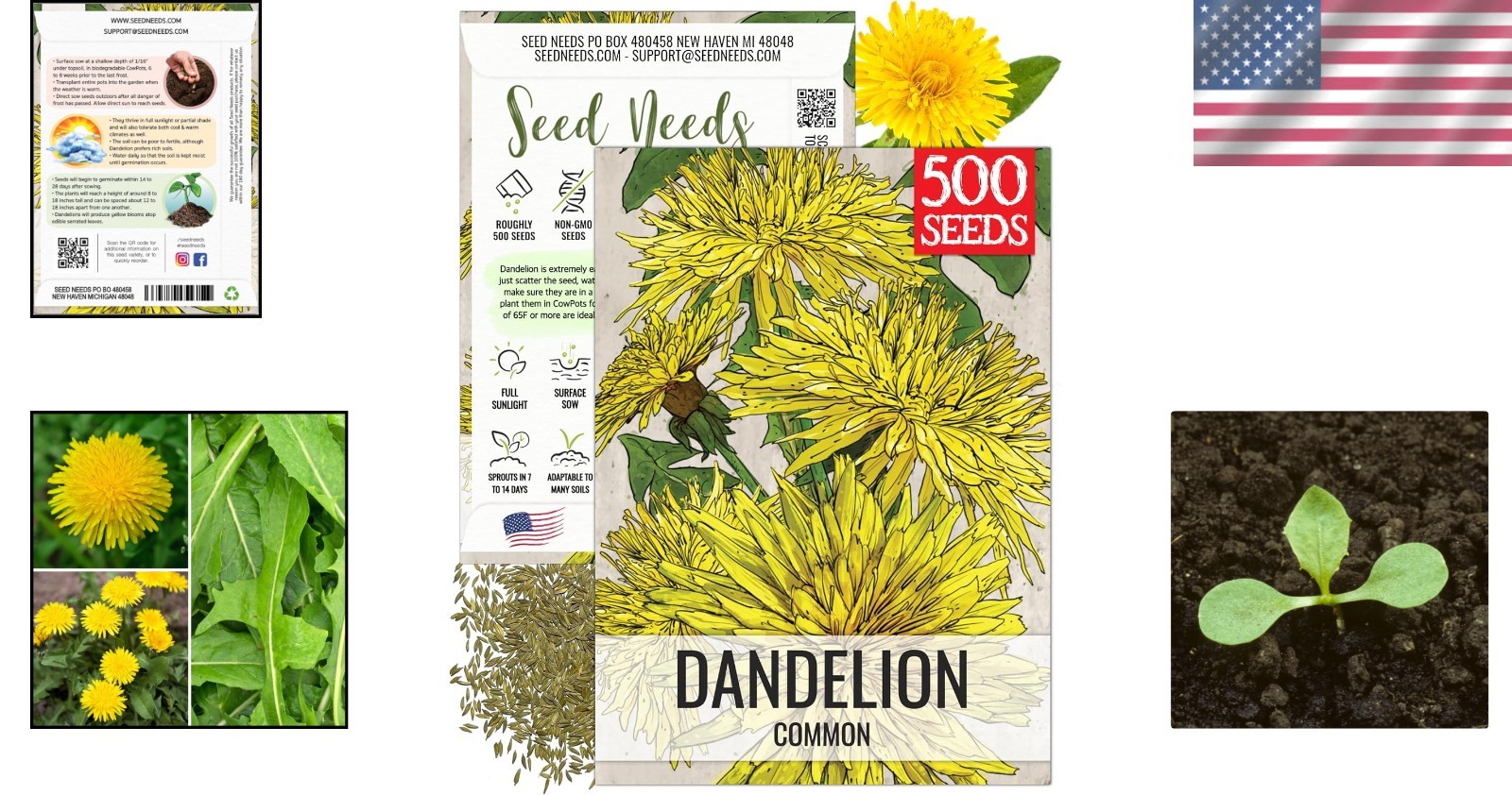 Nourishing Dandelion Seeds – Perfect for Salad Greens & Pet Nutrition 250 Count