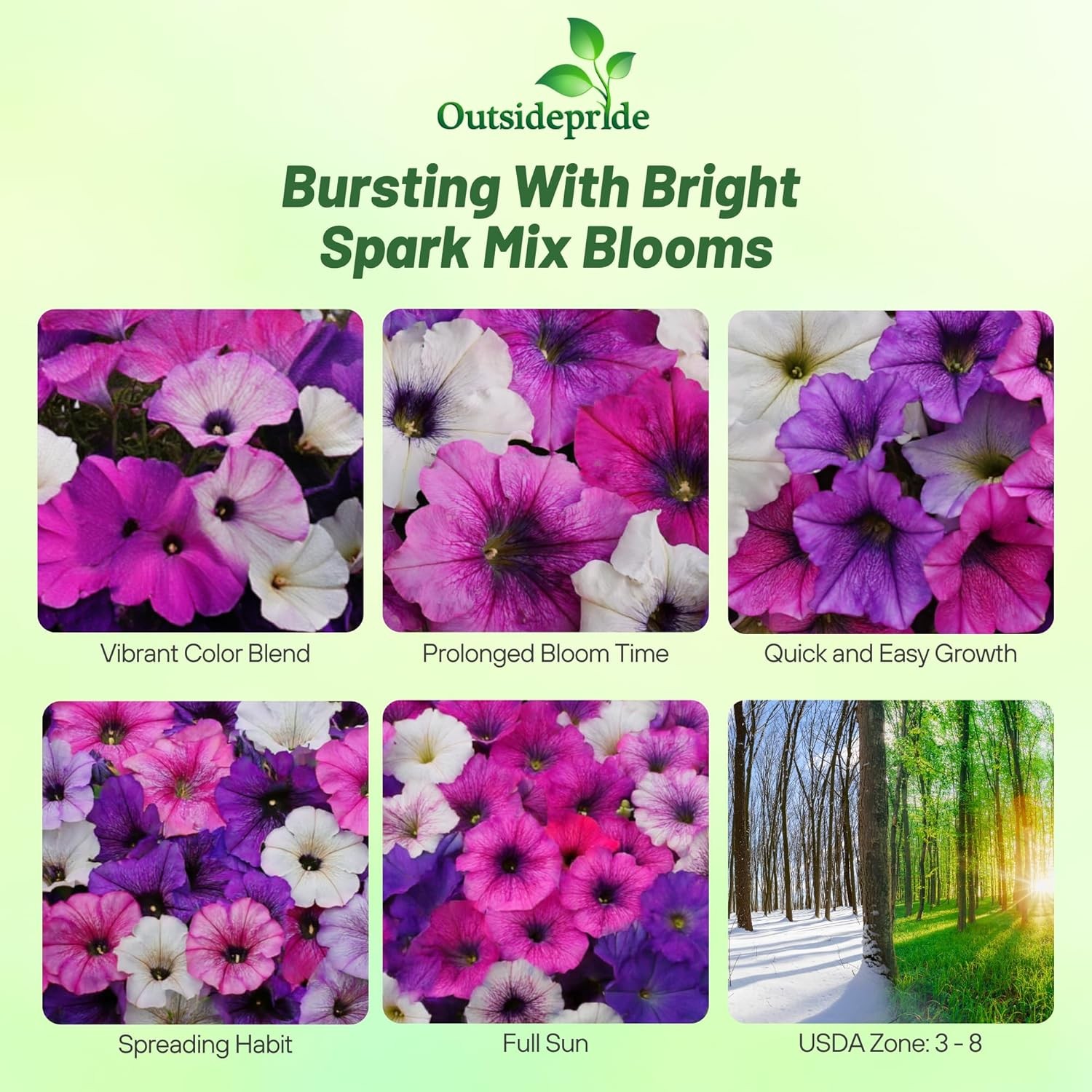 15 Seeds Spreading Petunia Flower Seeds – Shock Wave Spark Mix