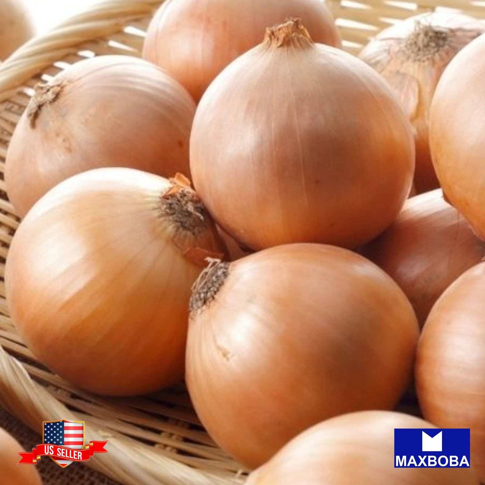 200 Onion Fresh Seeds – Walla Walla Non-GMO Heirloom Vegetable