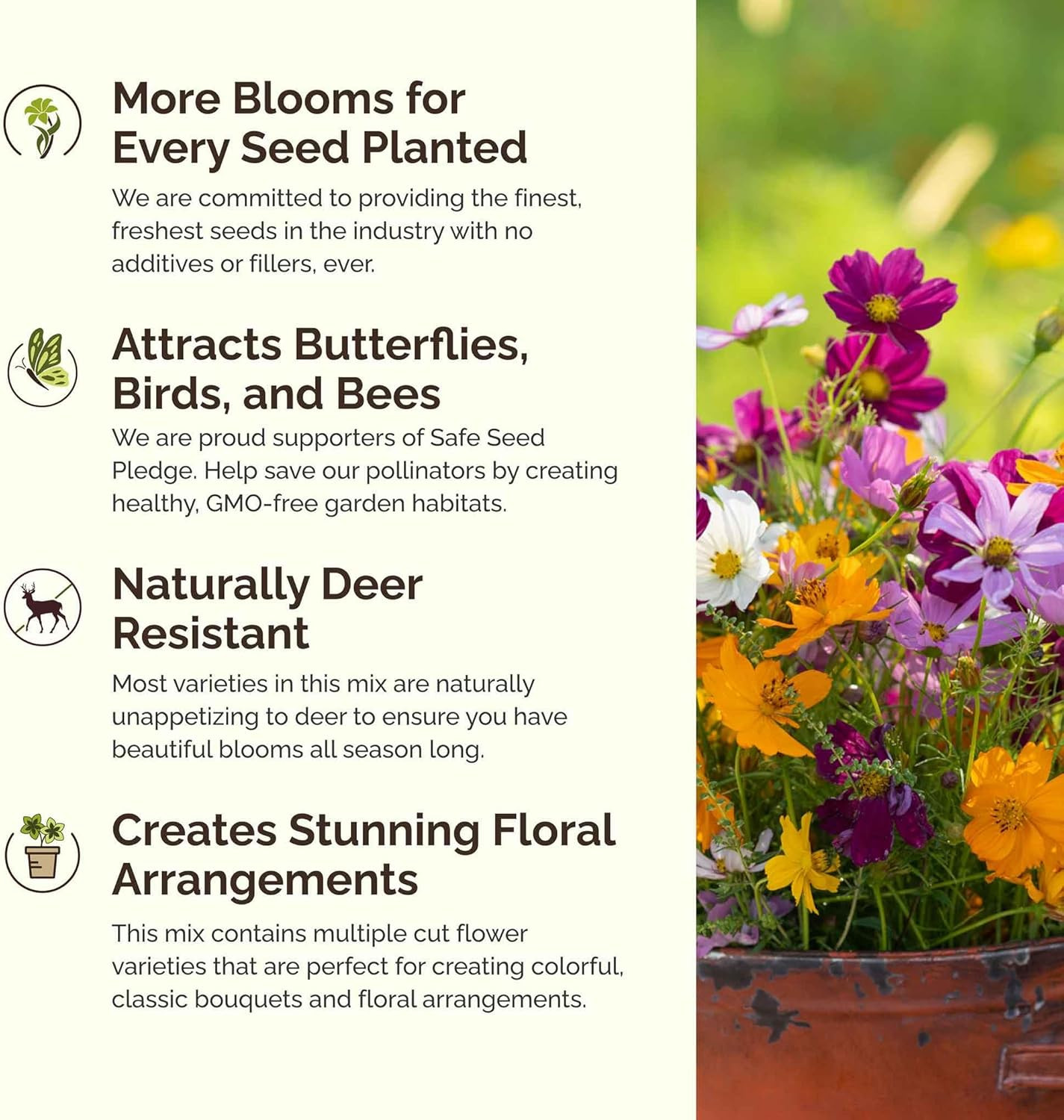 Crazy for Cosmos Flower Mixed Seeds for Planting, 1/4 Lb, 120,000+ Seeds with Co
