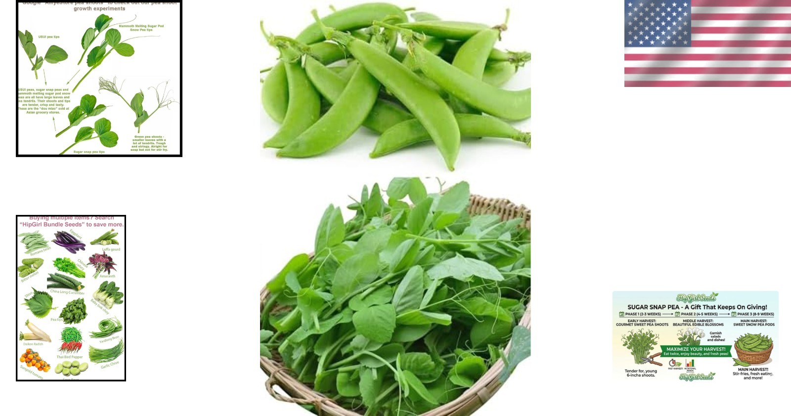 Sugar Snap Pea Seeds – 65 Heirloom Non-GMO for Indoor/Outdoor Gardening Success