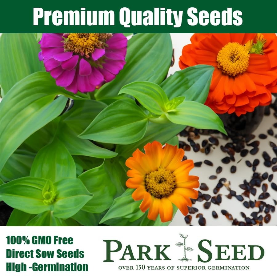 Zinnia Seeds, Planting Flowers, Easy to Grow, Non-GMO, Perfect for Spring Gar…