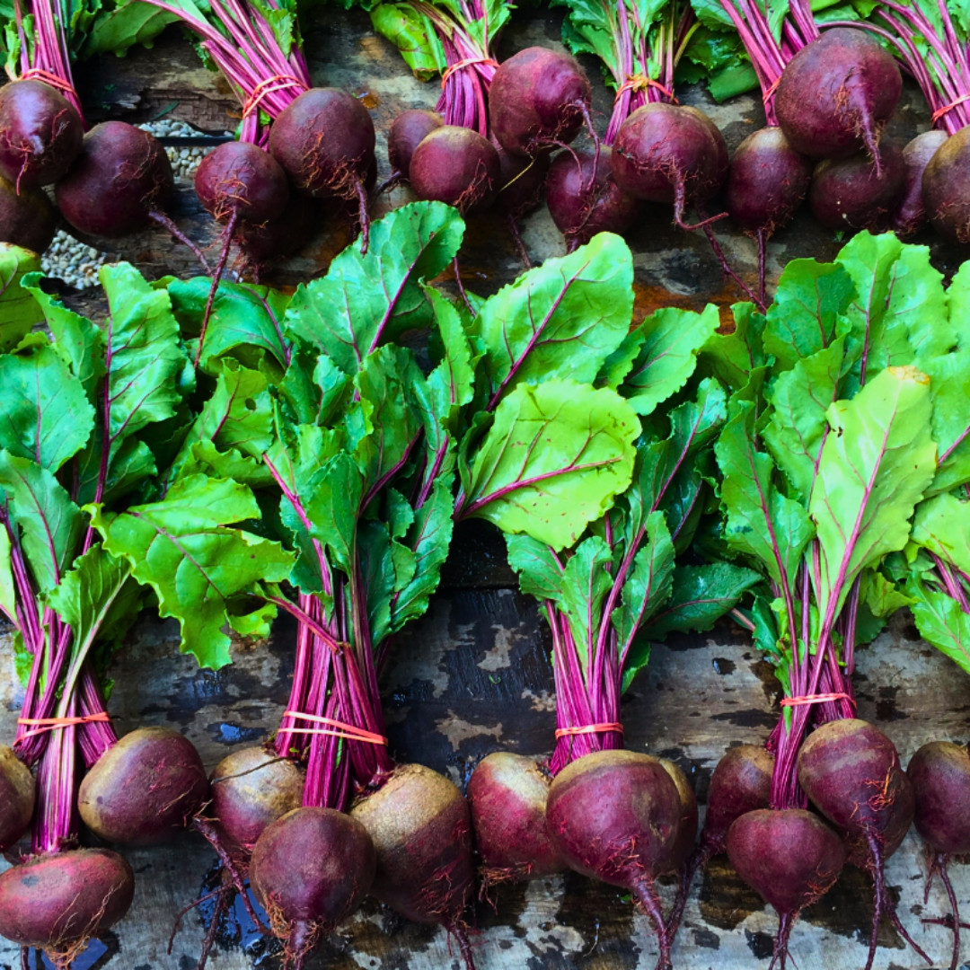 Fresh Detroit Dark Red Beet Seeds | Heirloom Non-GMO | Fresh Vegetable Seeds